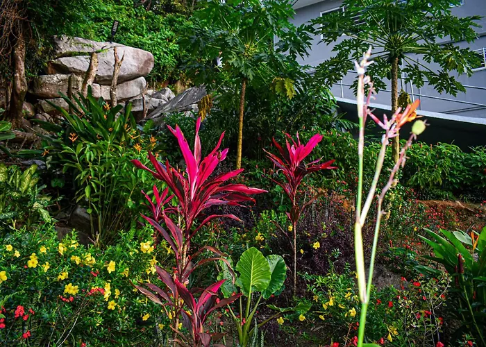 Wild Vanilla Apartment Beau Vallon (Mahe)