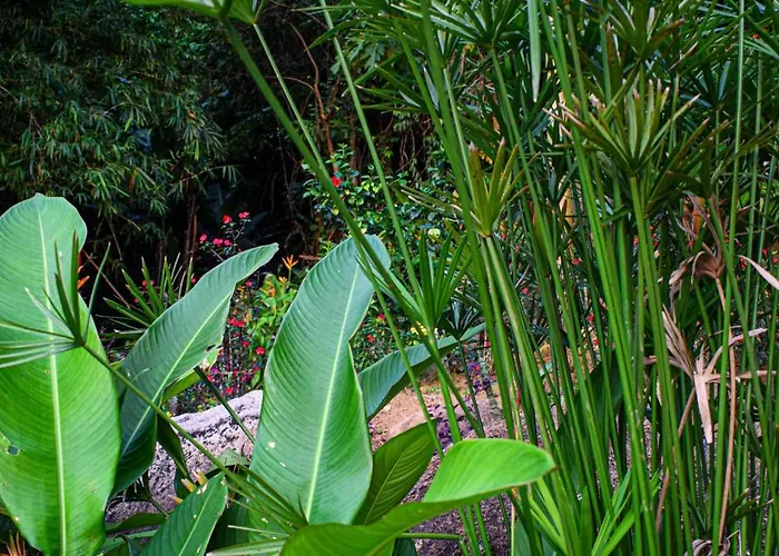 Wild Vanilla Apartment Beau Vallon (Mahe)