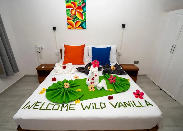 Wild Vanilla